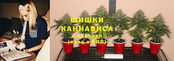 дурь Балабаново